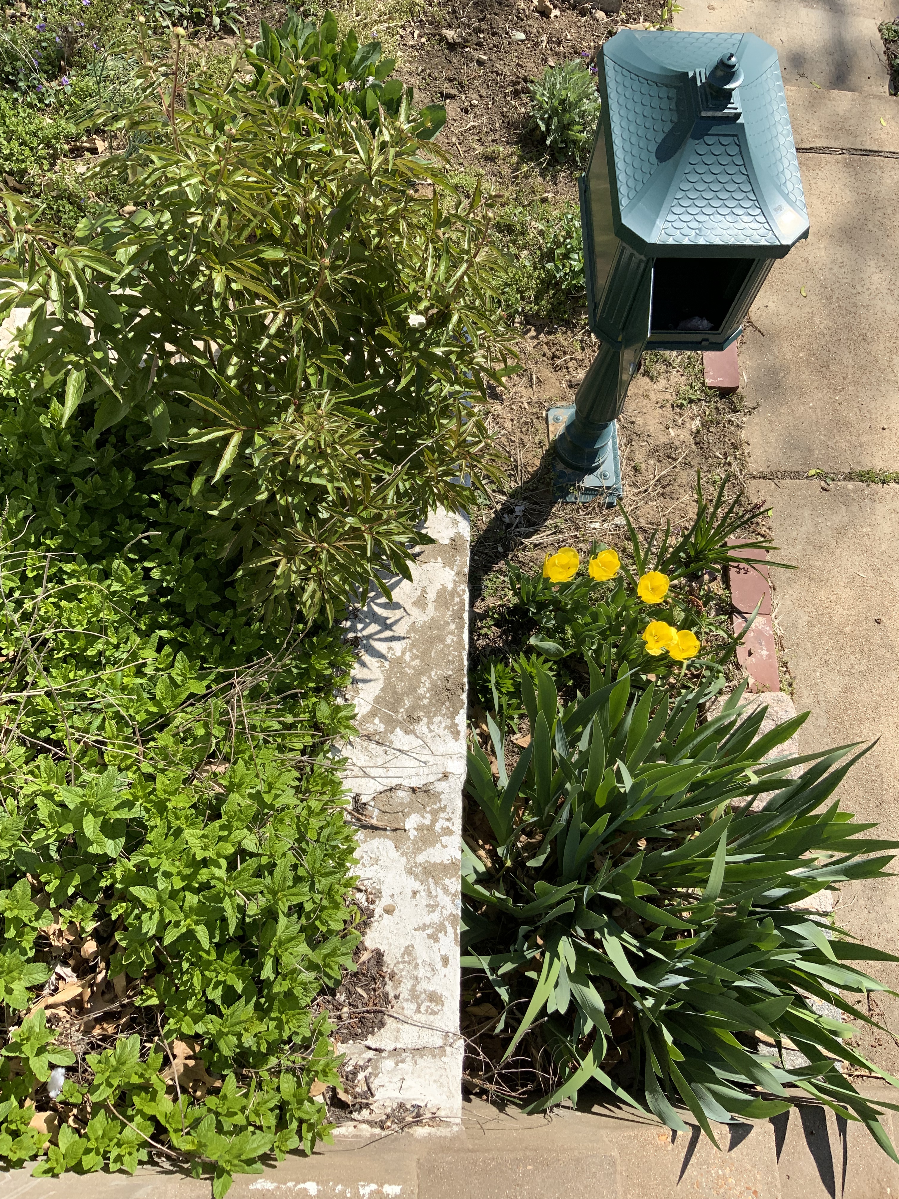 Aerial view of a full sun bed